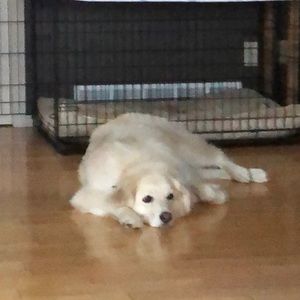 Meet your Posher, Claire